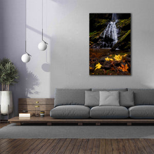 'Waterfall Maple Leaves' by Thomas Haney, Giclee Canvas Wall Art,40 x 60