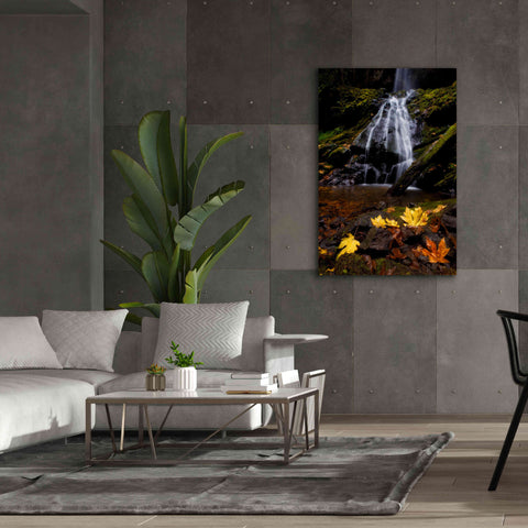 Image of 'Waterfall Maple Leaves' by Thomas Haney, Giclee Canvas Wall Art,40 x 60