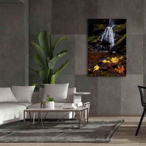 'Waterfall Maple Leaves' by Thomas Haney, Giclee Canvas Wall Art,40 x 60