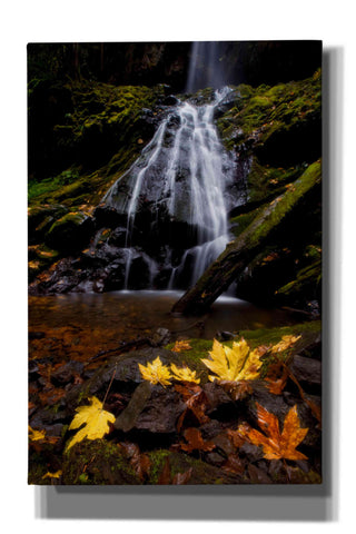 Image of 'Waterfall Maple Leaves' by Thomas Haney, Giclee Canvas Wall Art