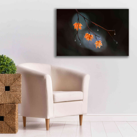 Image of 'Wet Fall' by Thomas Haney, Giclee Canvas Wall Art,40 x 26
