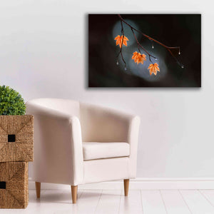 'Wet Fall' by Thomas Haney, Giclee Canvas Wall Art,40 x 26