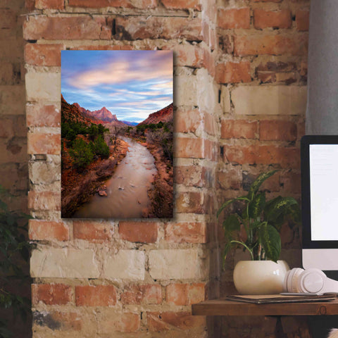 Image of 'Zion River Vert' by Thomas Haney, Giclee Canvas Wall Art,12 x 18