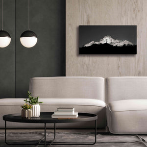 'Zion Tree Silhouette' by Thomas Haney, Giclee Canvas Wall Art,40 x 20