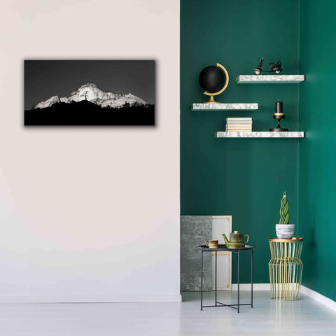 Image of 'Zion Tree Silhouette' by Thomas Haney, Giclee Canvas Wall Art,40 x 20