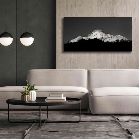 Image of 'Zion Tree Silhouette' by Thomas Haney, Giclee Canvas Wall Art,60 x 30