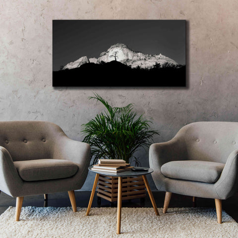 Image of 'Zion Tree Silhouette' by Thomas Haney, Giclee Canvas Wall Art,60 x 30