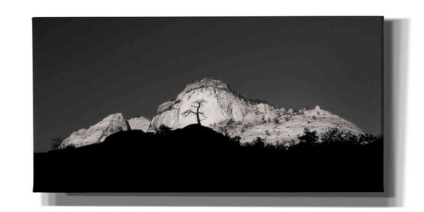 'Zion Tree Silhouette' by Thomas Haney, Giclee Canvas Wall Art