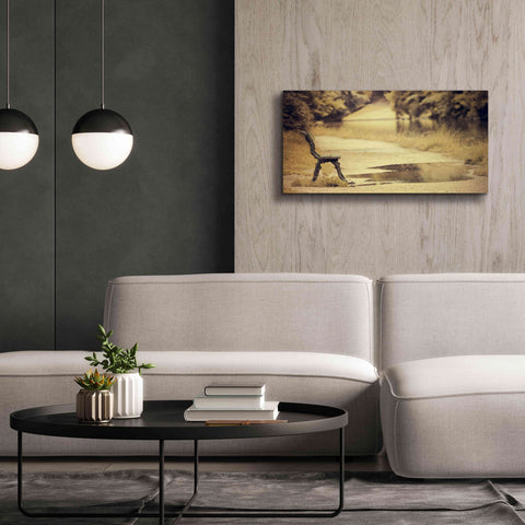 Image of 'After the Rain' by Sebastien Lory, Giclee Canvas Wall Art,40 x 20