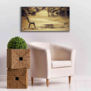 'After the Rain' by Sebastien Lory, Giclee Canvas Wall Art,40 x 20