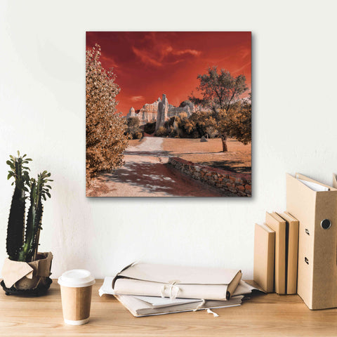 Image of 'IRadiation' by Sebastien Lory, Giclee Canvas Wall Art,18 x 18