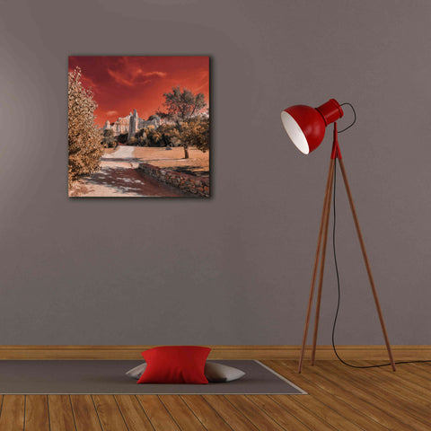 Image of 'IRadiation' by Sebastien Lory, Giclee Canvas Wall Art,26 x 26