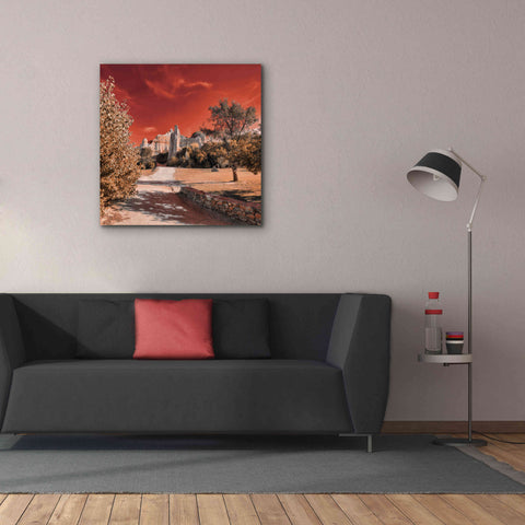 Image of 'IRadiation' by Sebastien Lory, Giclee Canvas Wall Art,37 x 37
