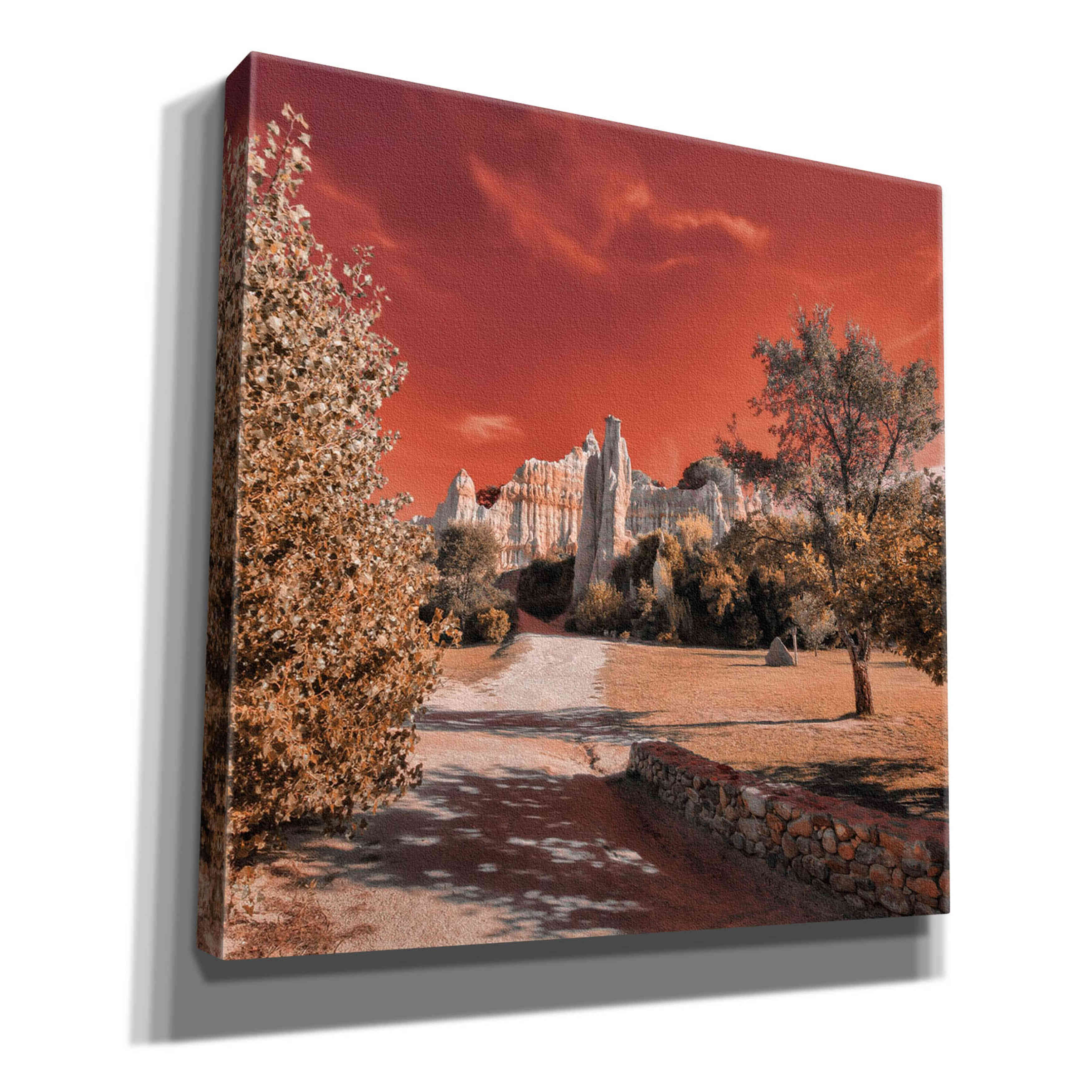 'IRadiation' by Sebastien Lory, Giclee Canvas Wall Art