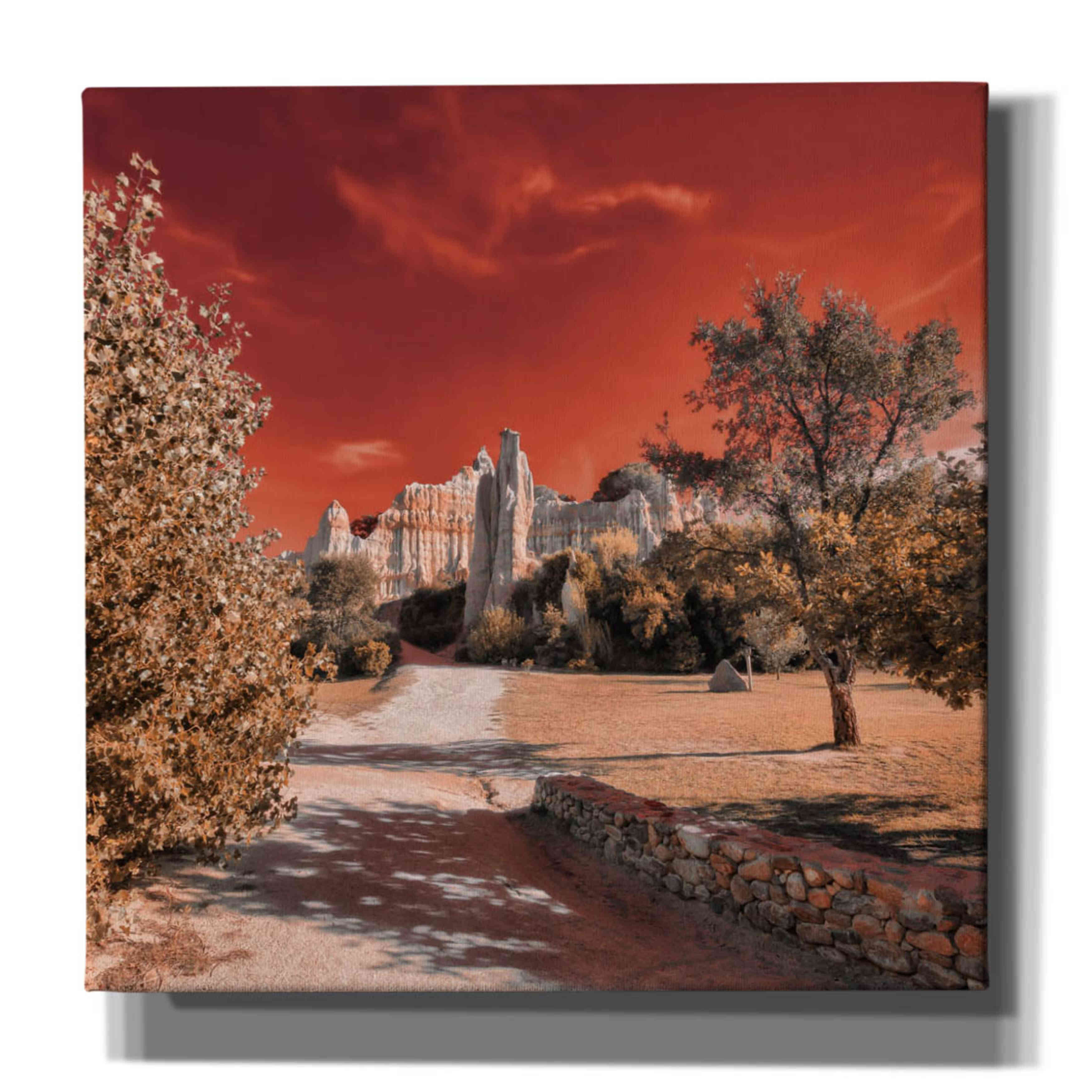 'IRadiation' by Sebastien Lory, Giclee Canvas Wall Art