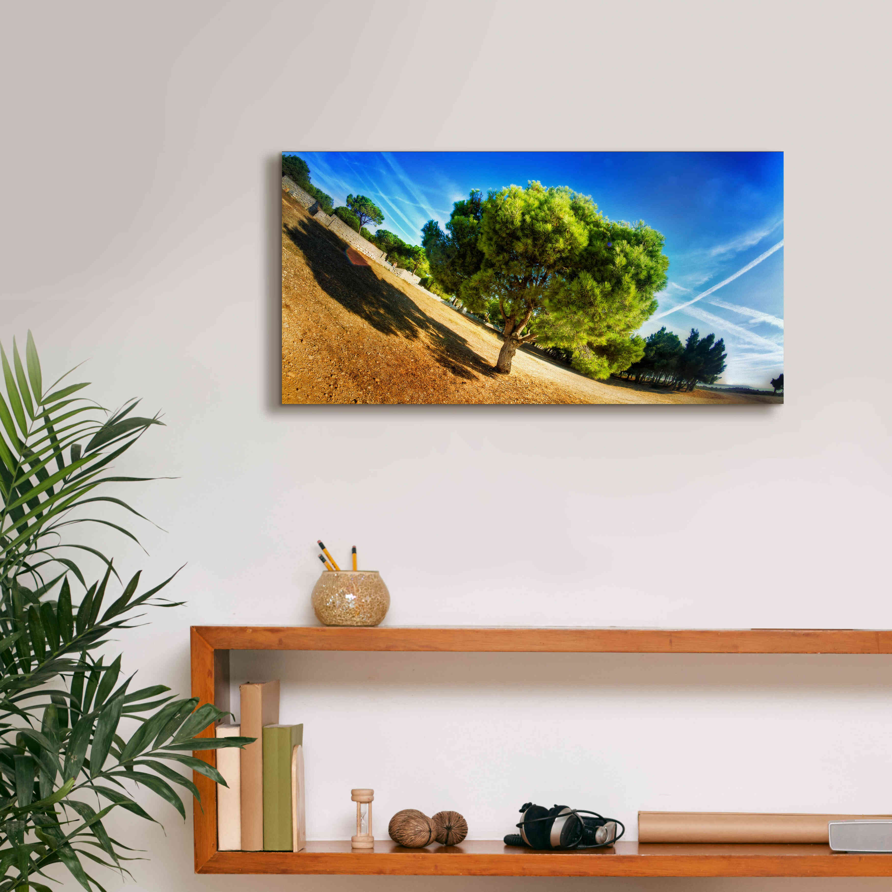 'Summer Tree' by Sebastien Lory, Giclee Canvas Wall Art,24 x 12