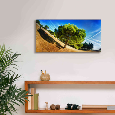 Image of 'Summer Tree' by Sebastien Lory, Giclee Canvas Wall Art,24 x 12