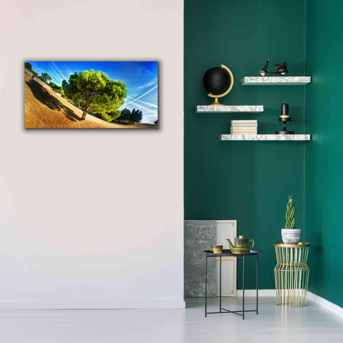 Image of 'Summer Tree' by Sebastien Lory, Giclee Canvas Wall Art,40 x 20