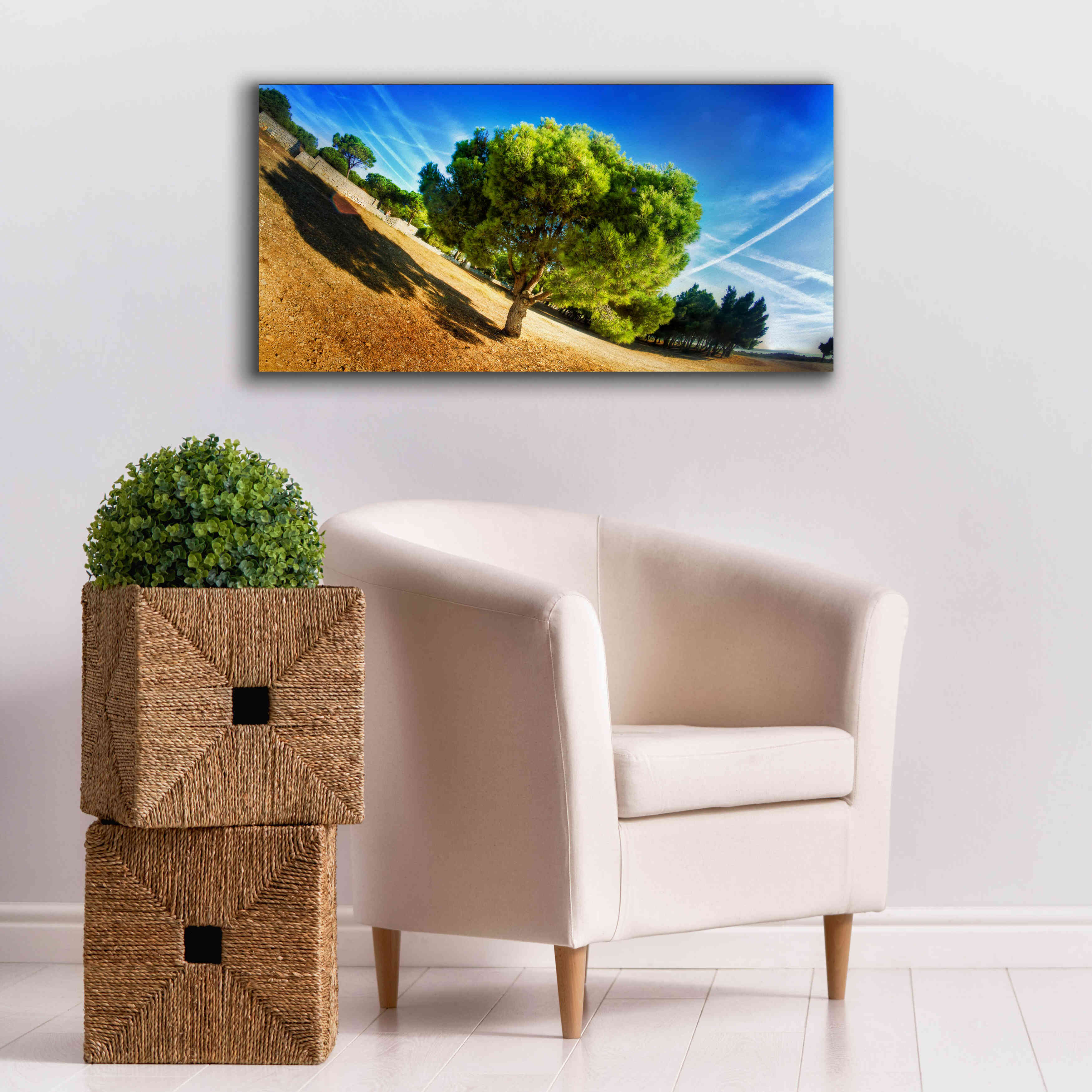 'Summer Tree' by Sebastien Lory, Giclee Canvas Wall Art,40 x 20