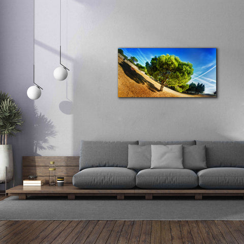 Image of 'Summer Tree' by Sebastien Lory, Giclee Canvas Wall Art,60 x 30