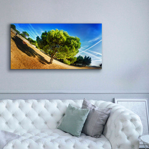 Image of 'Summer Tree' by Sebastien Lory, Giclee Canvas Wall Art,60 x 30