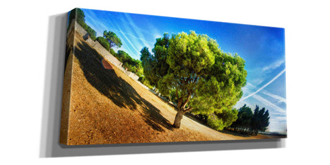 Image of 'Summer Tree' by Sebastien Lory, Giclee Canvas Wall Art