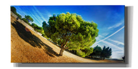 'Summer Tree' by Sebastien Lory, Giclee Canvas Wall Art