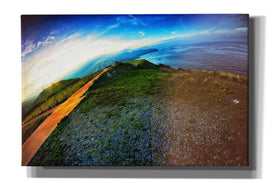 'Cap Bear' by Sebastien Lory, Giclee Canvas Wall Art