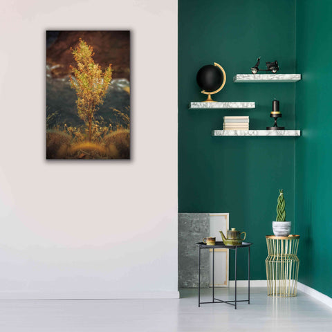 Image of 'View Point' by Sebastien Lory, Giclee Canvas Wall Art,26 x 40
