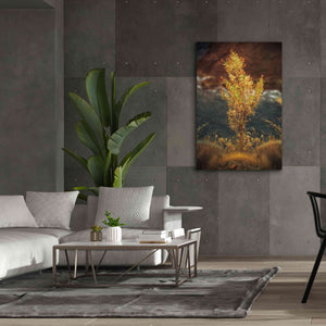 'View Point' by Sebastien Lory, Giclee Canvas Wall Art,40 x 60