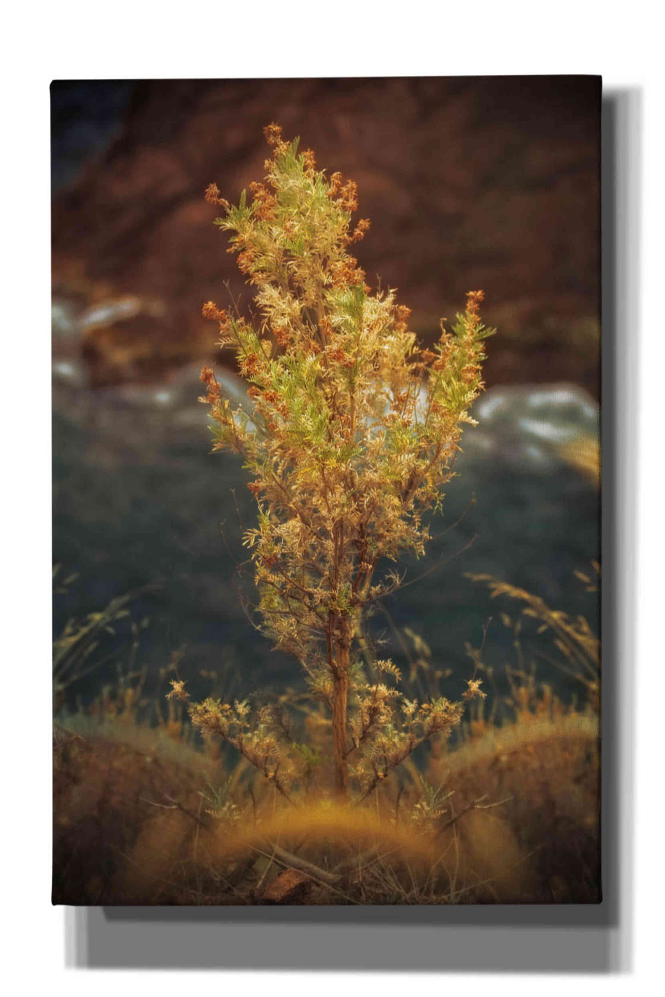 'View Point' by Sebastien Lory, Giclee Canvas Wall Art