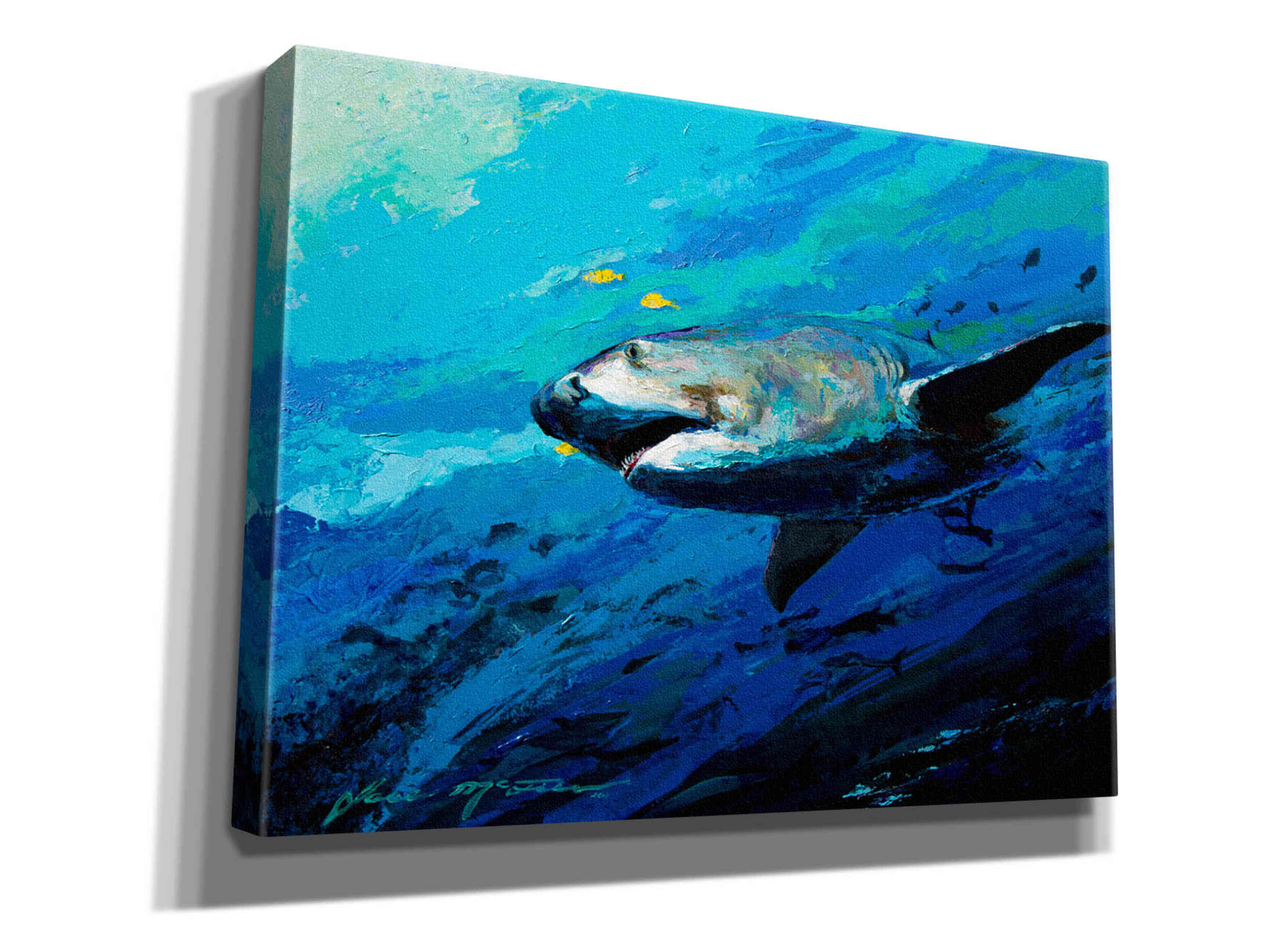 'The Mighty Bull Shark' by Jace D McTier, Giclee Canvas Wall Art