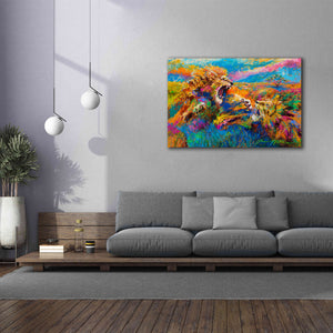 'Pride Fight in the Savanna African Lions' by Jace D McTier, Giclee Canvas Wall Art,60 x 40