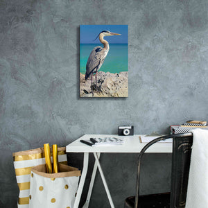 'Blue Heron' by Mike Jones, Giclee Canvas Wall Art,12 x 18