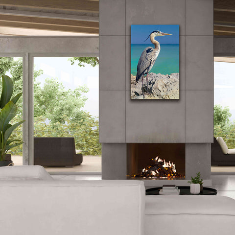 Image of 'Blue Heron' by Mike Jones, Giclee Canvas Wall Art,26 x 40