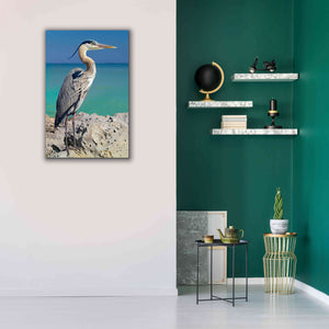 'Blue Heron' by Mike Jones, Giclee Canvas Wall Art,26 x 40