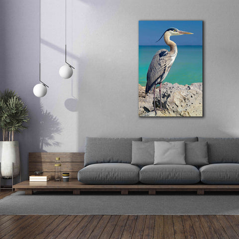Image of 'Blue Heron' by Mike Jones, Giclee Canvas Wall Art,40 x 60