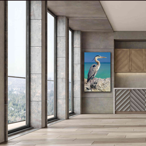Image of 'Blue Heron' by Mike Jones, Giclee Canvas Wall Art,40 x 60