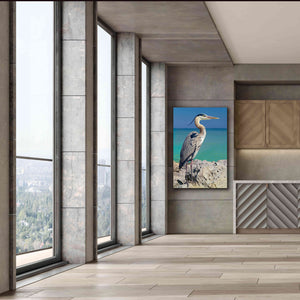 'Blue Heron' by Mike Jones, Giclee Canvas Wall Art,40 x 60