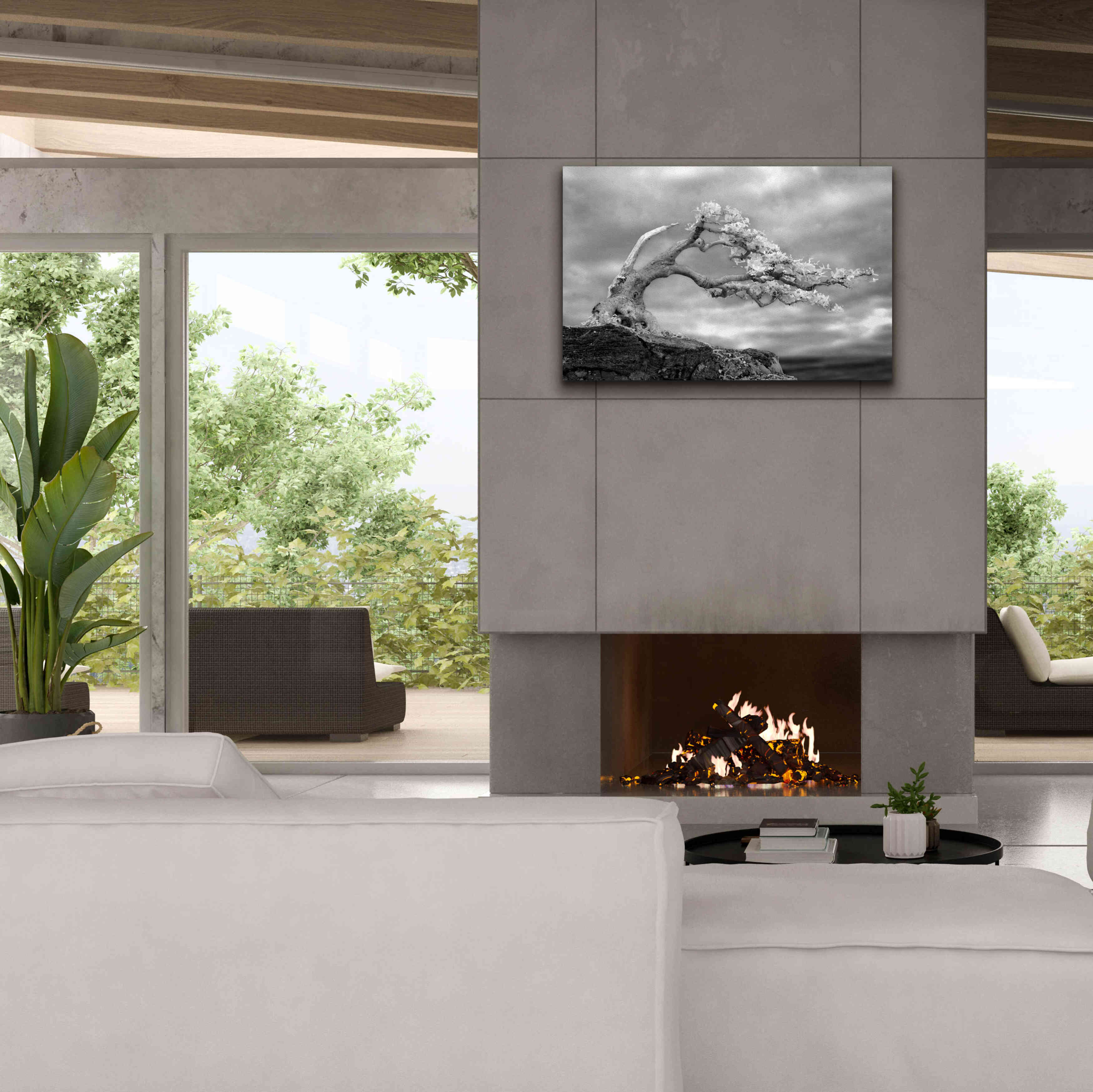 'Bonzai' by Mike Jones, Giclee Canvas Wall Art,40 x 26