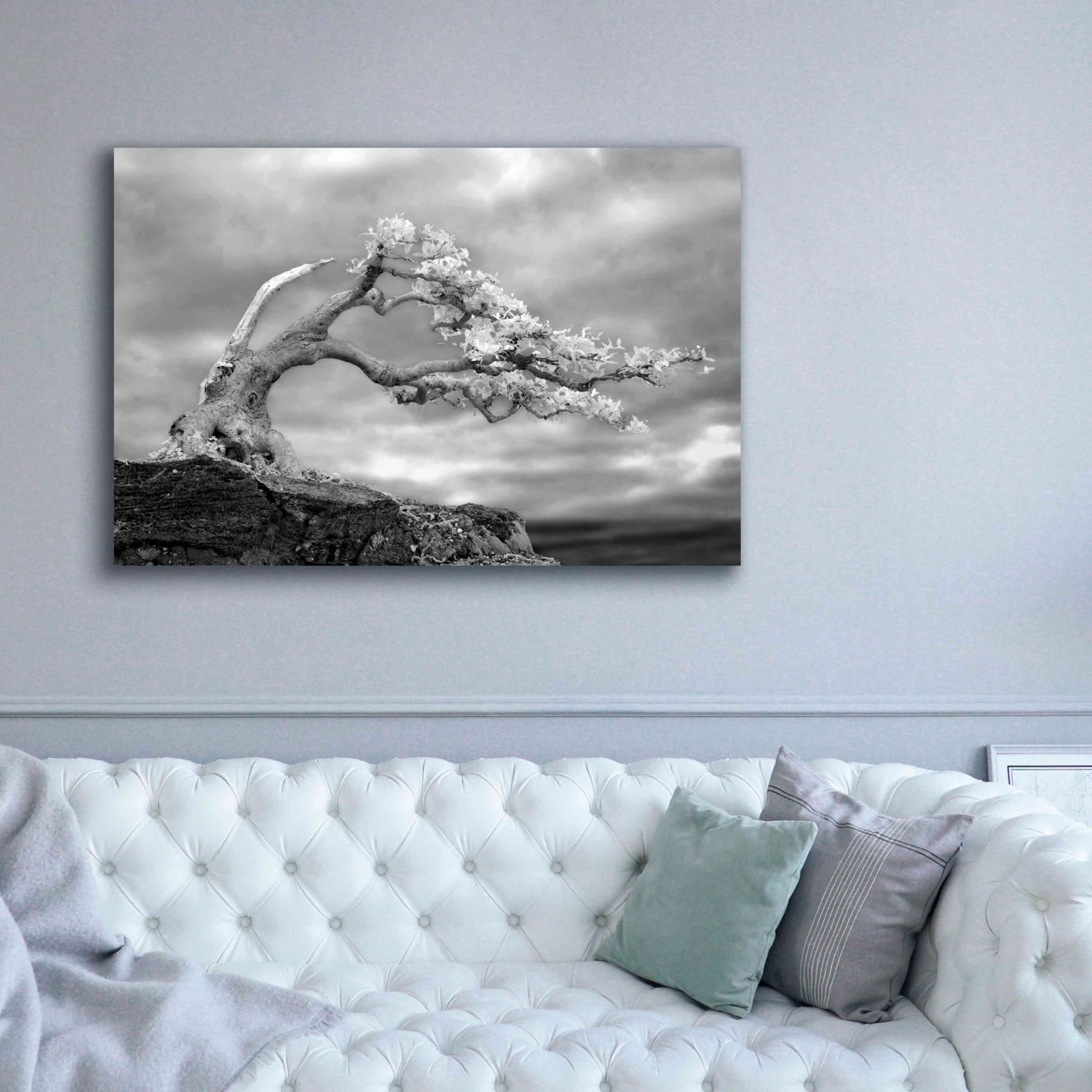 'Bonzai' by Mike Jones, Giclee Canvas Wall Art,60 x 40