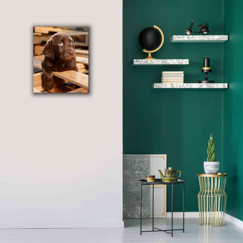 Image of 'Bryce Puppy' by Mike Jones, Giclee Canvas Wall Art,20 x 24