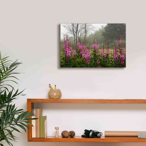 Image of 'Campobello Lupine' by Mike Jones, Giclee Canvas Wall Art,18 x 12