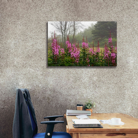 Image of 'Campobello Lupine' by Mike Jones, Giclee Canvas Wall Art,40 x 26