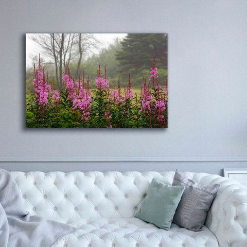 Image of 'Campobello Lupine' by Mike Jones, Giclee Canvas Wall Art,60 x 40