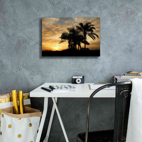 Image of 'Everglades Sunrise' by Mike Jones, Giclee Canvas Wall Art,18 x 12