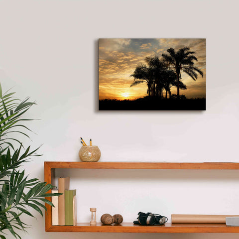 Image of 'Everglades Sunrise' by Mike Jones, Giclee Canvas Wall Art,18 x 12