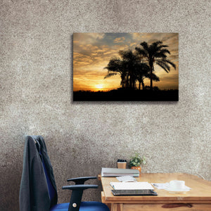 'Everglades Sunrise' by Mike Jones, Giclee Canvas Wall Art,40 x 26