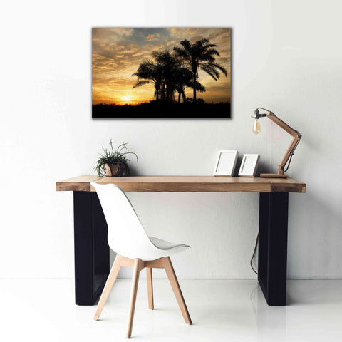 Image of 'Everglades Sunrise' by Mike Jones, Giclee Canvas Wall Art,40 x 26