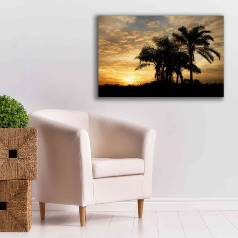 Image of 'Everglades Sunrise' by Mike Jones, Giclee Canvas Wall Art,40 x 26
